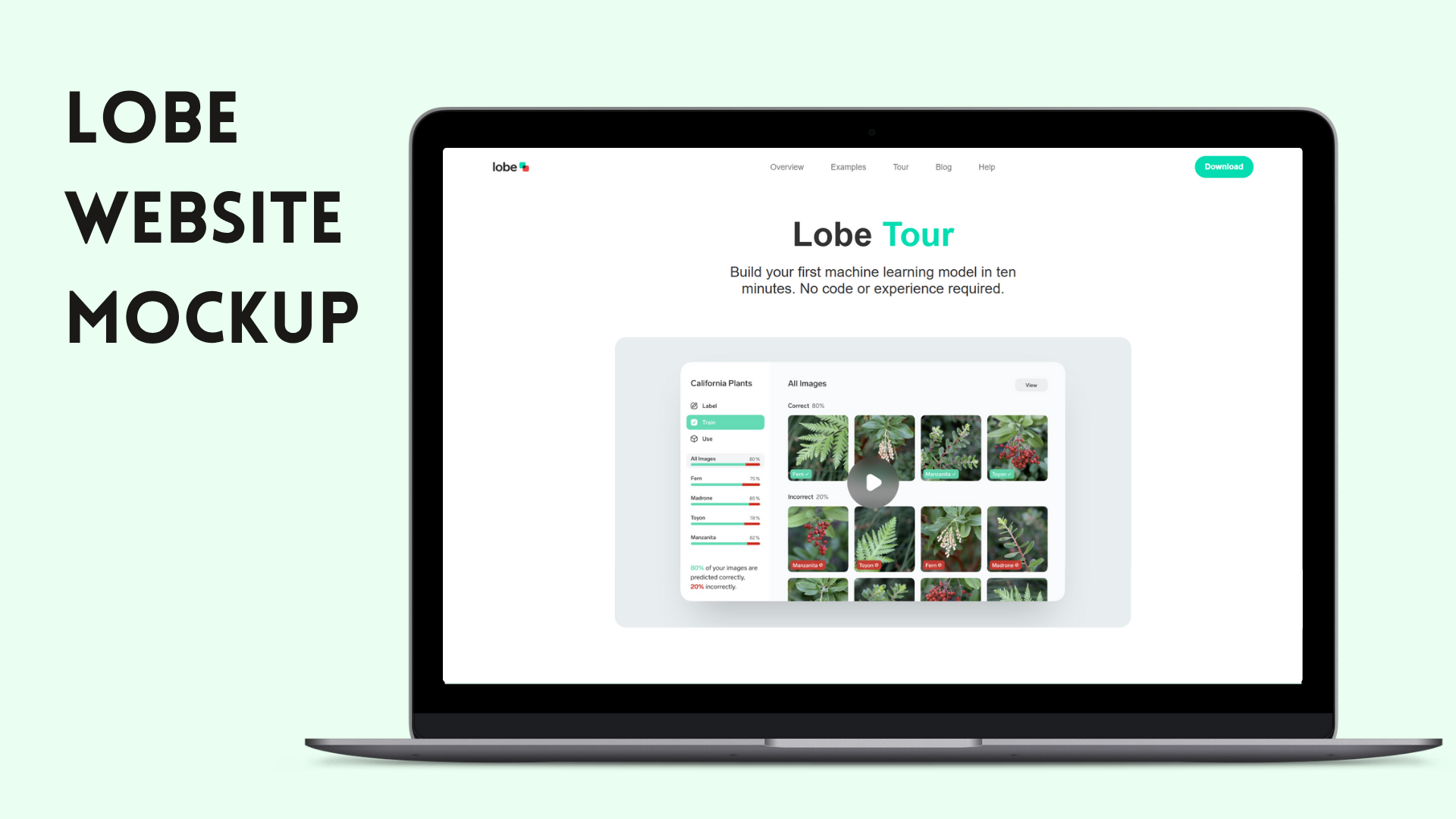 Project Preview Image